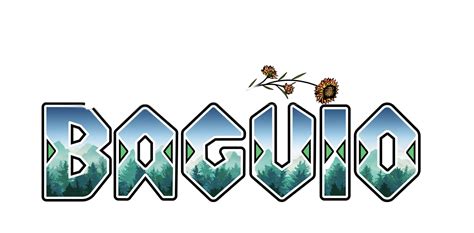 baguio city ordinances|Environment Code of The City of Baguio .